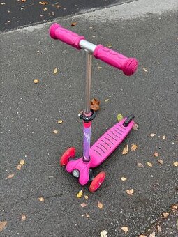 2x koloběžka hočičí