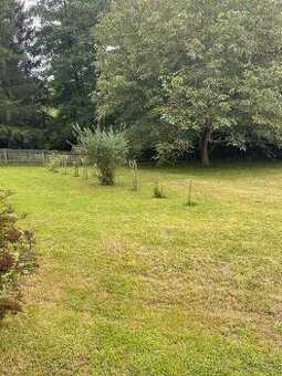 Medonosy Kokořínsko - 1