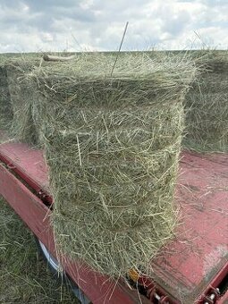 Seno malé kulaté balíky