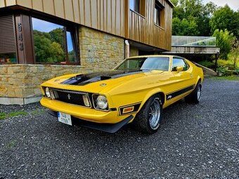 Ford Mustang Mach I. 1972 V8