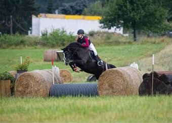 top pony do sportu