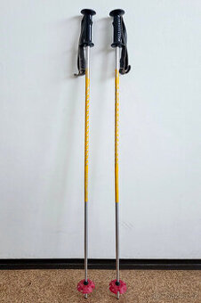 Lyžařské hůlky 120 cm