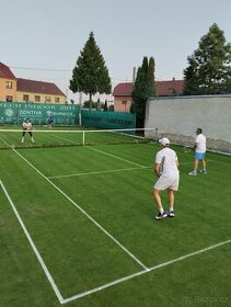 Koš a kazetu na sekačku ATCO Balmoral 17 SK