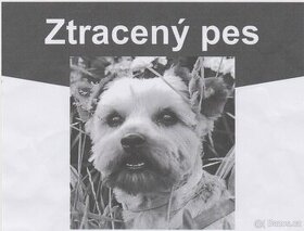VÝZVA