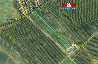 Prodej pole, 410 m², Prušánky