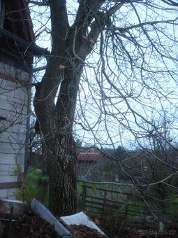 Vlašský Ořech, prodám,