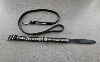 Obojek a vodítko pro stafordšírského bulteriéra