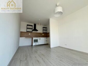 Pronájem pěkného 1+kk s balkónem a komorou