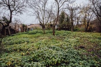 Prodej pozemek Bydlení, 437㎡