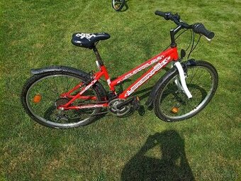 Kolo Leader Fox BUFFALO "24"