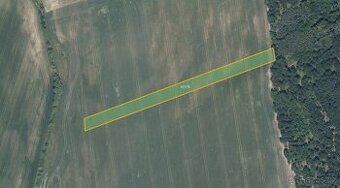 Zemědělská půda, prodej, Džbánice, Znojmo