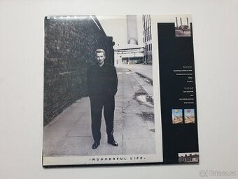 Black - Wonderful Life LP