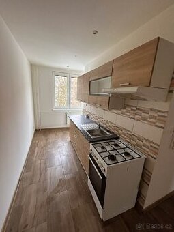 Pronájem bytu 2+1 - 1