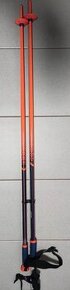 Lyžařské hůlky Salomon 125 cm