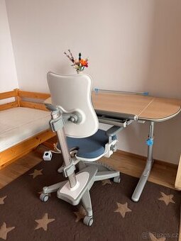 Stůl + židle Mayer