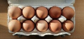 VEJCE - domaci vejce