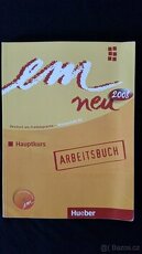 EM NEU HAUPTKURS ARBEITSBUCH + CD