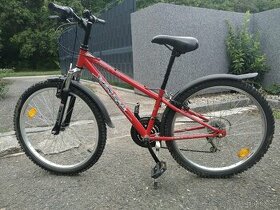 Kolo 24
