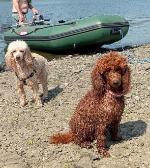 Prodám nafukovací člun 2.90m.