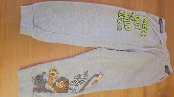 Tepláky Madagaskar vel.110