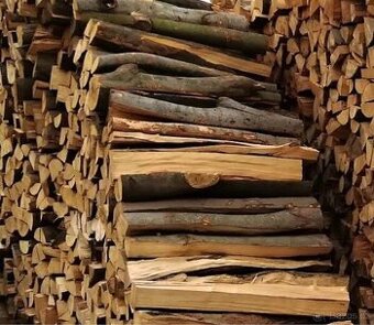 Tvrde palivove drevo