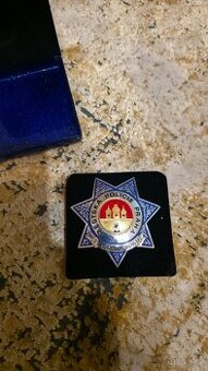 Odznak STRÁŽNÍK ROKU