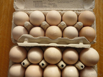Prodám domácí vejce