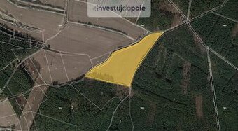 Prodej pole v k.ú. Stračí - 1