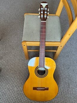 Kytara Epiphone - 1