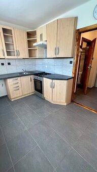 Pronájem bytu 1+1 29 m² se zahradou, Plzeň, bez provize