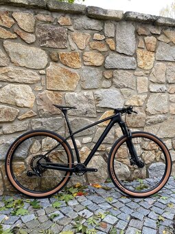 Carbon T1000 29” boost