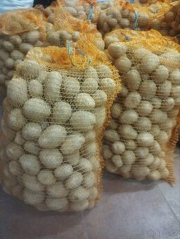 Brambory Krone