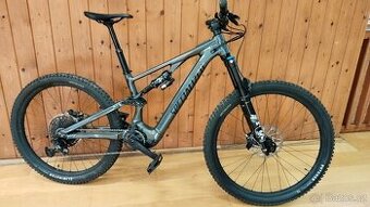 Specialized