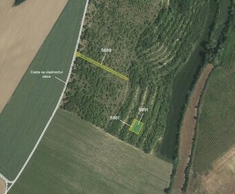 Sady, vinice, prodej, Lovčice, Hodonín