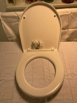 Záchodové prkénko