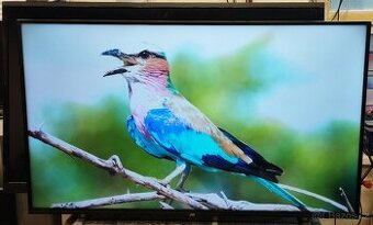 Smart Qled 4k UHD tv JVC 43" 108 cm