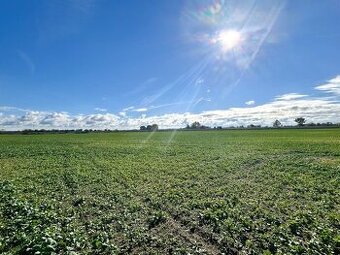 Stavební parcela na okraji města Dašice - 1