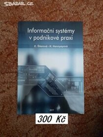Informační systémy v podnikové praxi