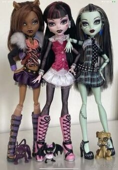 Shanim monster high