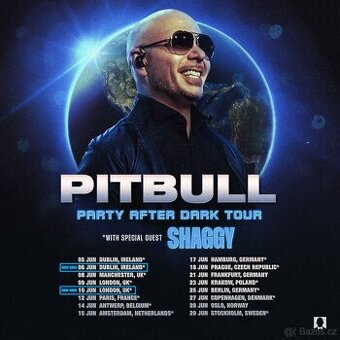 PITBULL KONCERT V PRAZE