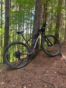 Corratec Revo BOW Elite 2024