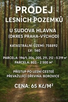 Lesni pozemky