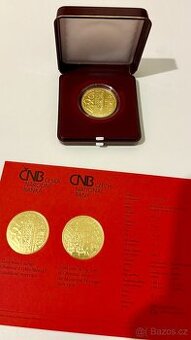 🥇 Zlatá mince ČNB 5000 Kč Město Olomouc B.K.