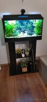 akvarium