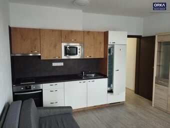 Pronájem cihlového bytu 1+kk včetně parkovacího stání v Olom