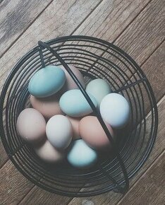 Domácí slepičí vejce