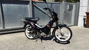Manet Korado TX1 2003