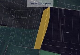 Prodej pole v k.ú. Vlkov pod Oškobrhem