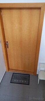 Vchodové dveře dřevěné