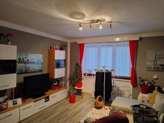 Prodám byt 2+1 Cheb  v centrum